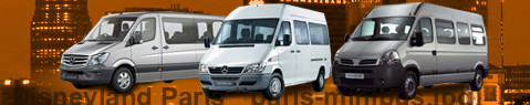 Private transfer from Disneyland Paris to Paris with Minibus